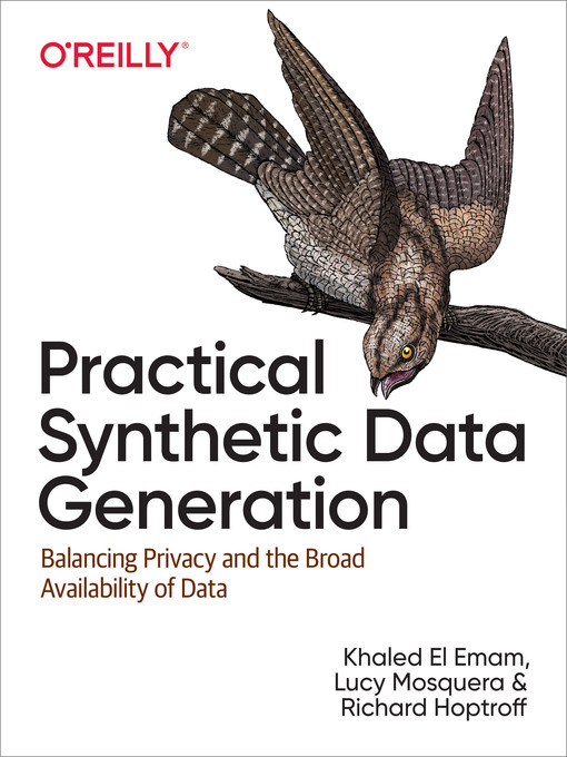 Title details for Practical Synthetic Data Generation by Khaled El Emam - Available